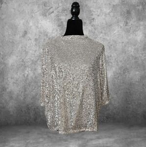 H&M Silver Sequin Top